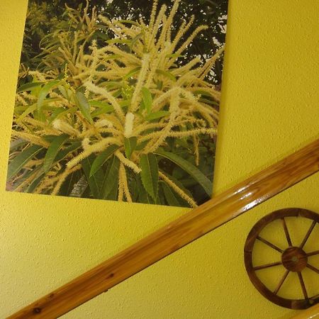 Hostal El Peregrino La Portela de Valcarce Екстериор снимка